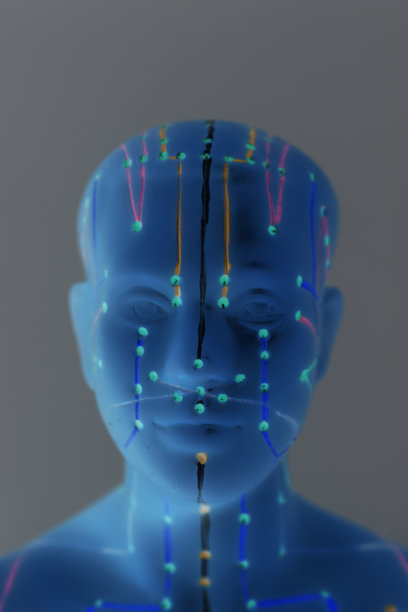 人体针灸医学模型图片下载