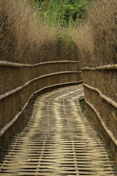 小路上的天然竹地板图片下载