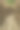 小路上的天然竹地板图片下载