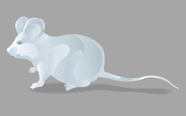 抽象的白色金属鼠标向量孤立的插图。现代风格的亚洲新年象征，液态金属效果和纹理纹理。中国农历生肖。图片下载