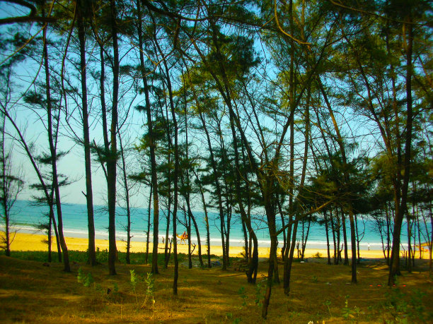 海coasr图片下载