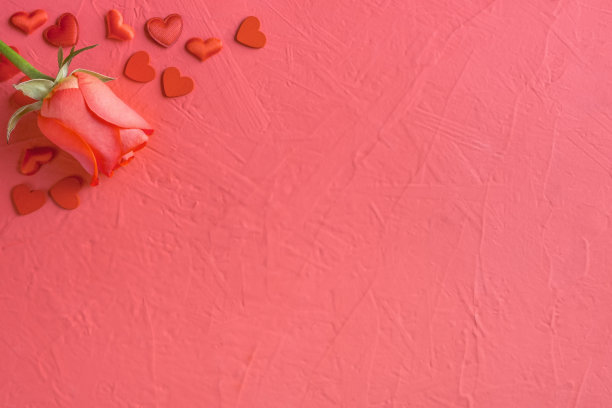 节日构图从红玫瑰和心分散在粉红色的背景，情人节的概念，复制空间图片下载