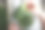在厨房水槽里洗花椰菜的女人图片下载
