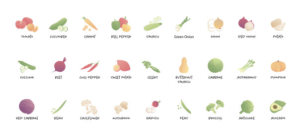 向量颜色蔬菜蔬菜集。现代风格的平面彩色插图与文字孤立的白色背景。设计元素为横幅，海报，网页，素食，夏季，菜单，维生素图片下载