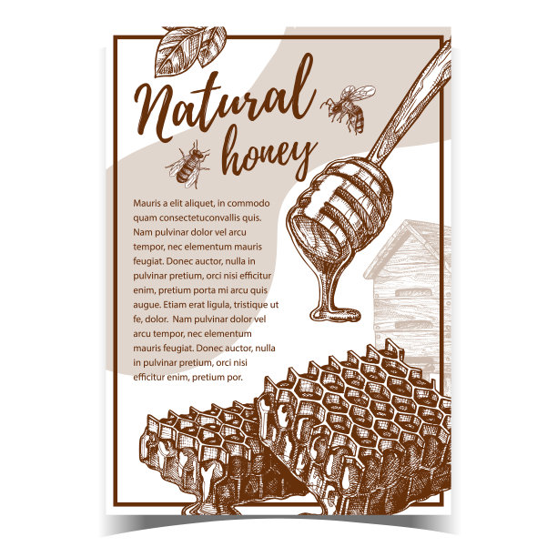 蜂巢和木制长柄勺海报矢量图片下载