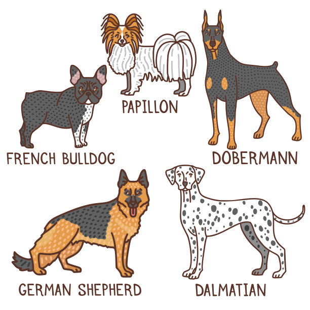 孤立的狗收集在手绘涂鸦风格图片下载