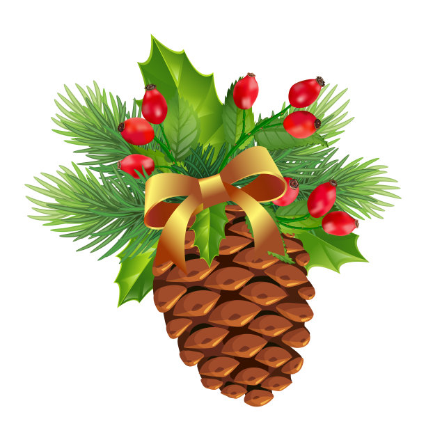 特写松果装饰在白色的背景上设计。寒假设计元素。新年快乐理念。图片下载