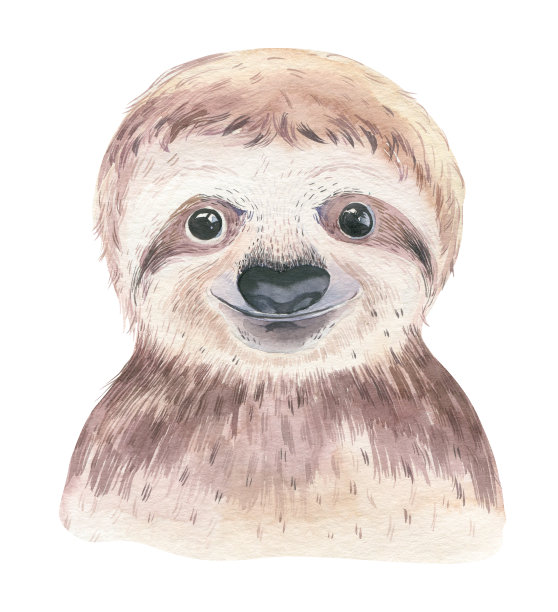 一张有树懒宝宝的海报。水彩卡通树懒热带动物插图。丛林异域风情的夏季印花。图片下载