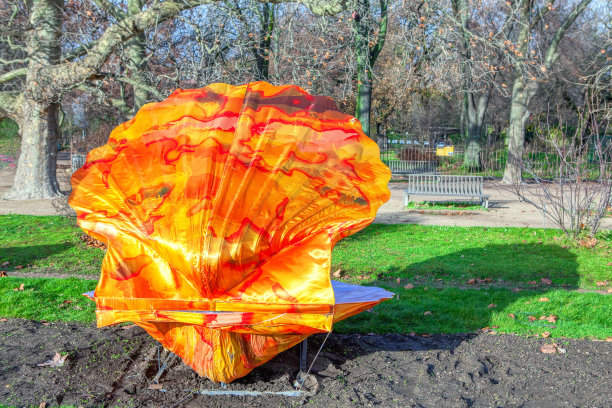 装饰壳图片下载