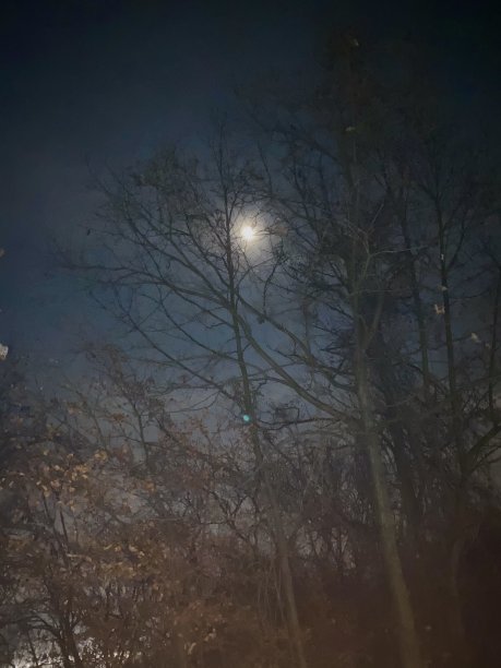 意大利的月亮图片下载