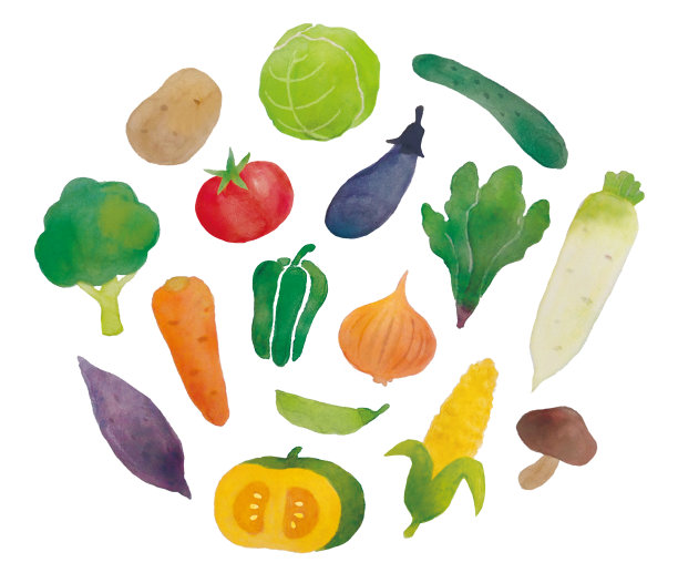 蔬菜水彩图片下载