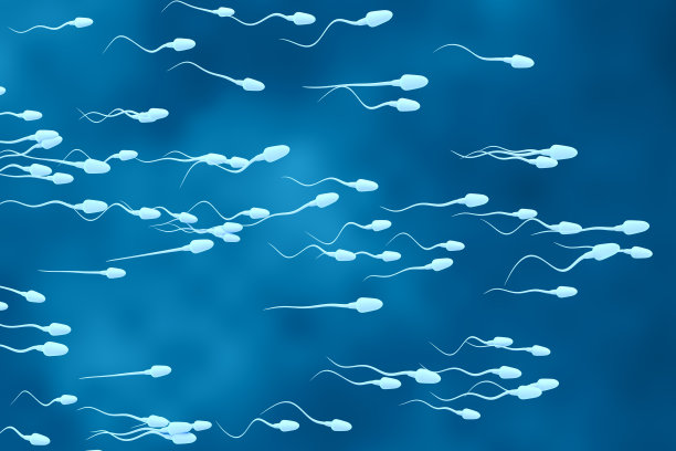 精子细胞移动图片下载