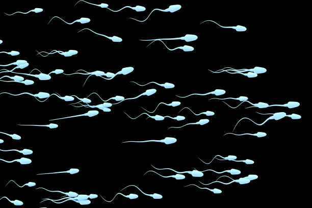 精子细胞移动图片下载