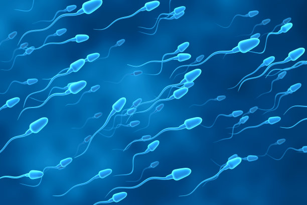 精子细胞移动图片下载