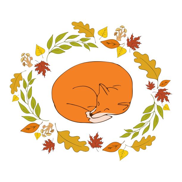 可爱的狐狸与秋天的叶子图片下载