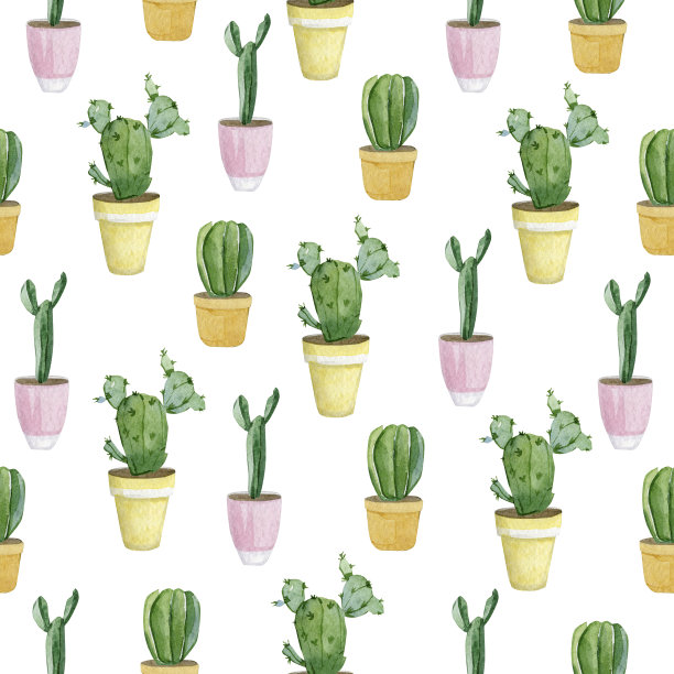 水彩无缝模式的家庭植物在花盆。手绘水彩仙人掌横幅，打印，家庭或花园装饰。图片下载