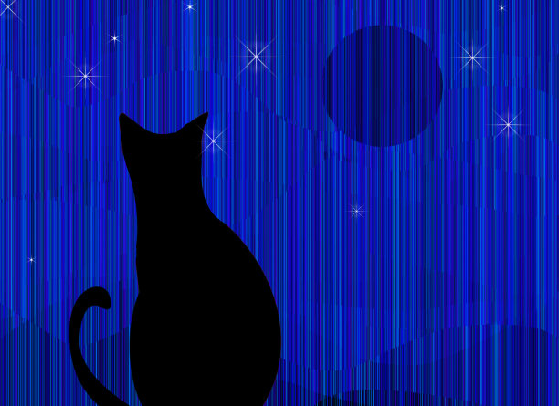 黑色的猫图片下载