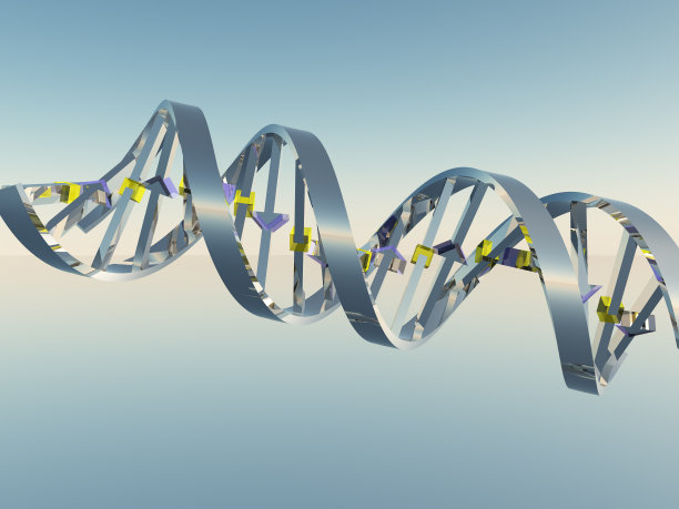 脱氧核糖核酸链图片下载