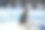 这是一只家养的灰虎斑猫坐在雪地上的特写镜头图片下载
