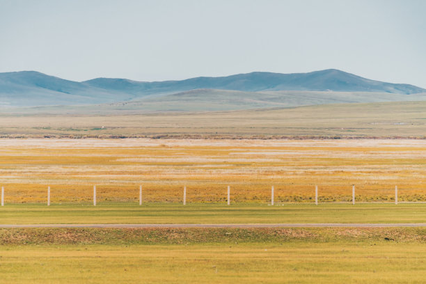 中国内蒙古呼伦贝尔大草原。图片下载