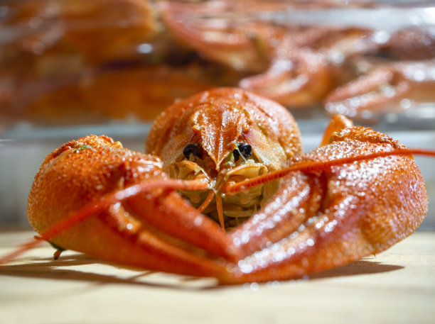 红色水煮小龙虾螯虾与螯虾靠近图片下载