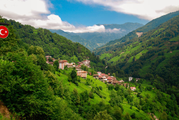 树、山美图片下载