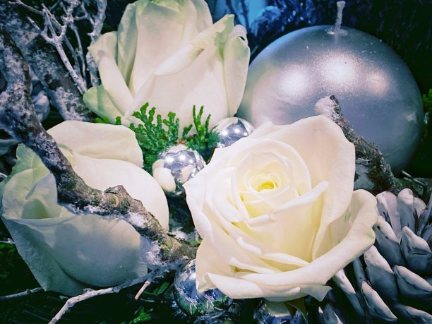 用白玫瑰装饰的圣诞装饰品图片下载