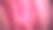 花瓣特写图片下载