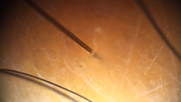 人的皮肤和头发的细节图片下载