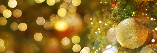圣诞树背景与散焦灯光。全景照片。图片下载