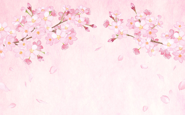 春天的花:樱花和落花拱形框架水彩插图图片下载