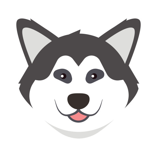 西伯利亚雪橇犬。哈士奇狗肖像。沙哑的头。图片下载