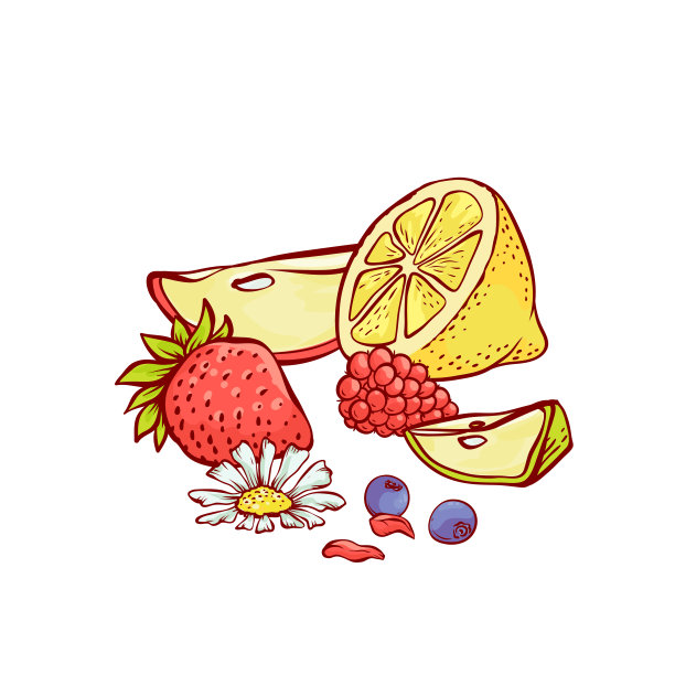 浆果水果矢量设置苹果片柠檬为草莓。成熟的秋收素描图。图片下载
