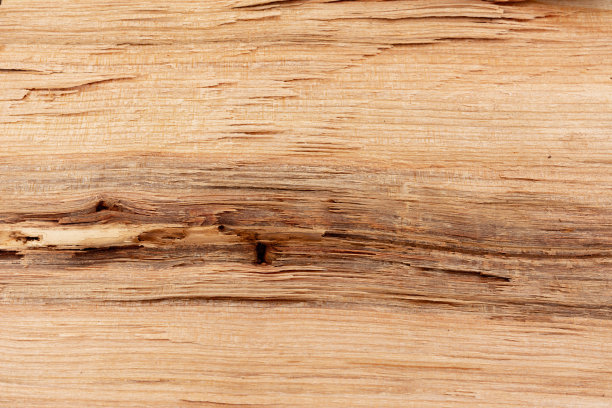 剪下来的树桩的纹理，棕色的纹理。图片下载