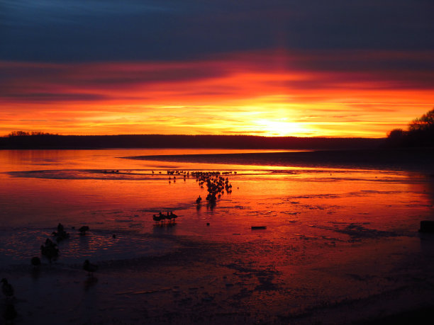 池塘上的红色夕阳图片下载
