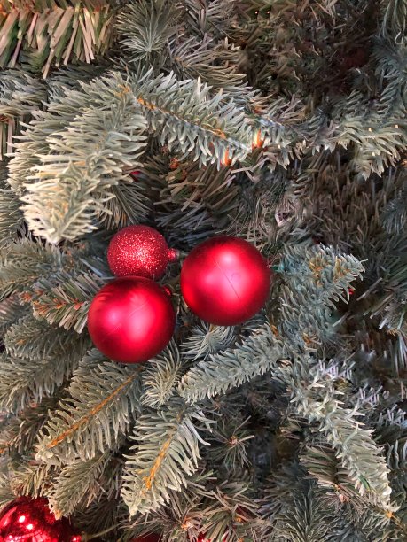 圣诞树上的红球图片下载