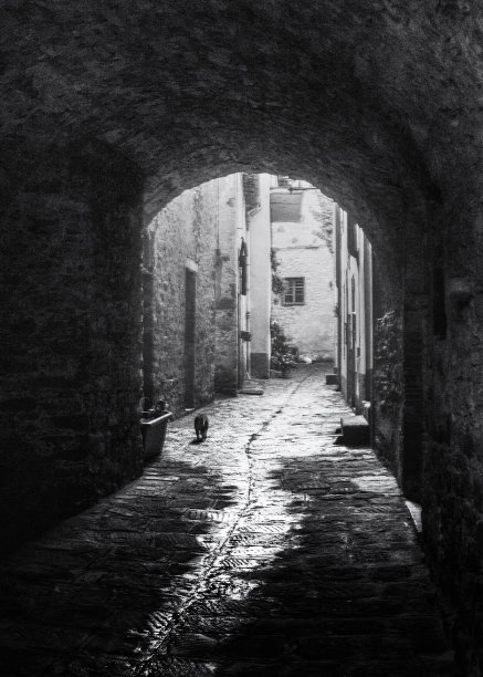 一只孤独的猫走过托斯卡纳中世纪的小巷。图片下载