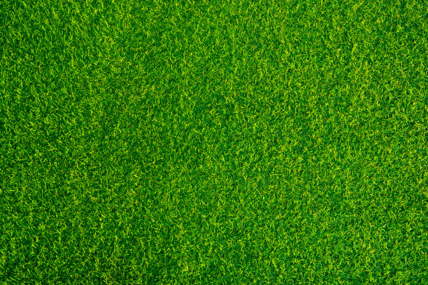 绿草草甸表面纹理背景图片下载