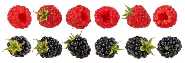 树莓和黑莓孤立在白色背景上图片下载