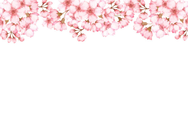 樱花水彩插画图片下载