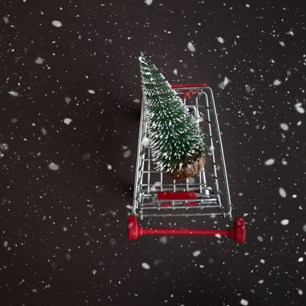 顶视图的食品杂货店购物车与下雪的圣诞树在一个黑暗的雪域背景与文本空间。公寓已经倒塌了。冬天,明信片模板图片下载