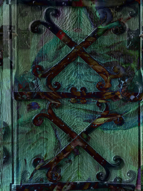 有花卉背景图案的铁门图片下载