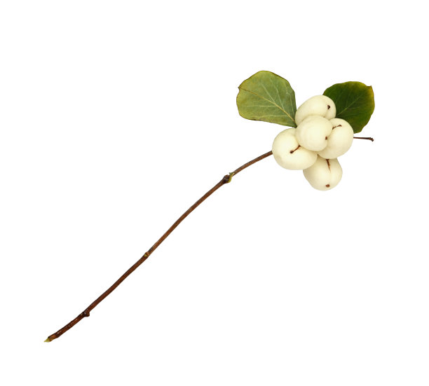 特写镜头的人员图片下载