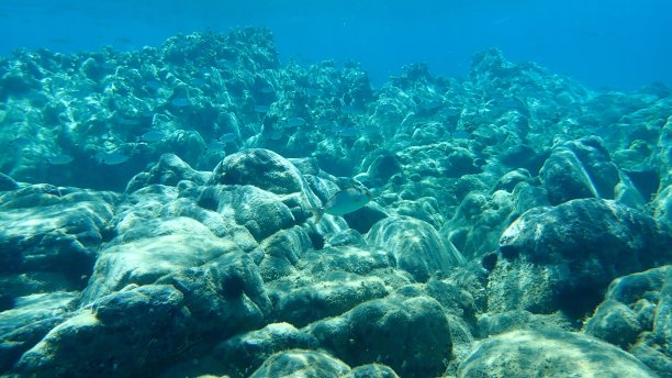 伟大的安伯利。图片下载