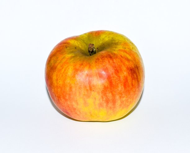 苹果近距离与白色背景图片下载