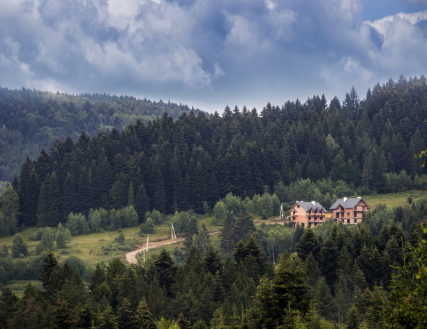 森林中未完工的房屋图片下载