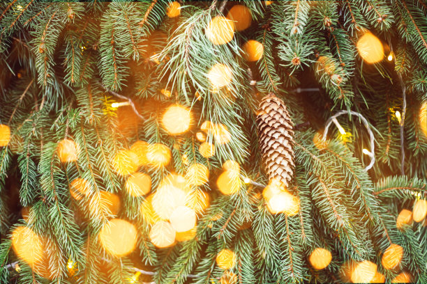 近距离的圣诞树与灯和装饰，冬天的节日背景图片下载