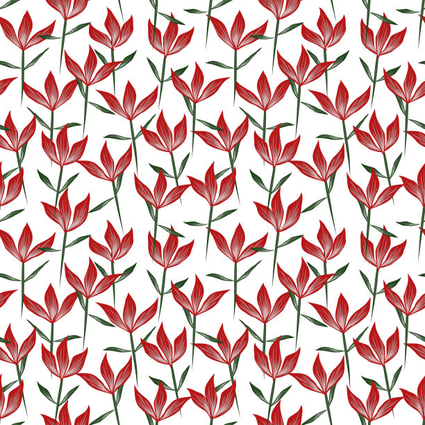 色彩缤纷的热带花卉无缝图案图片下载