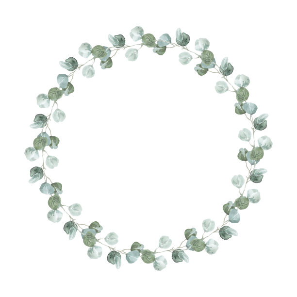 银桉树花环。Lagom秋季水彩桉树圆形框架的婚礼和活动邀请。绿叶褶边模板孤立在白色背景上图片下载