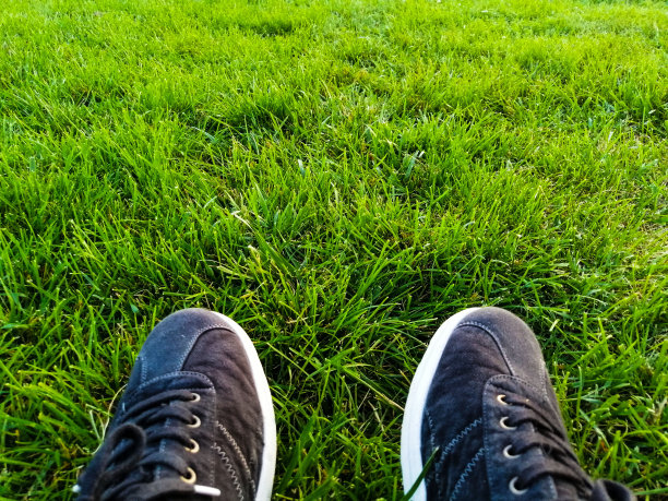 草，树，绿色图片下载